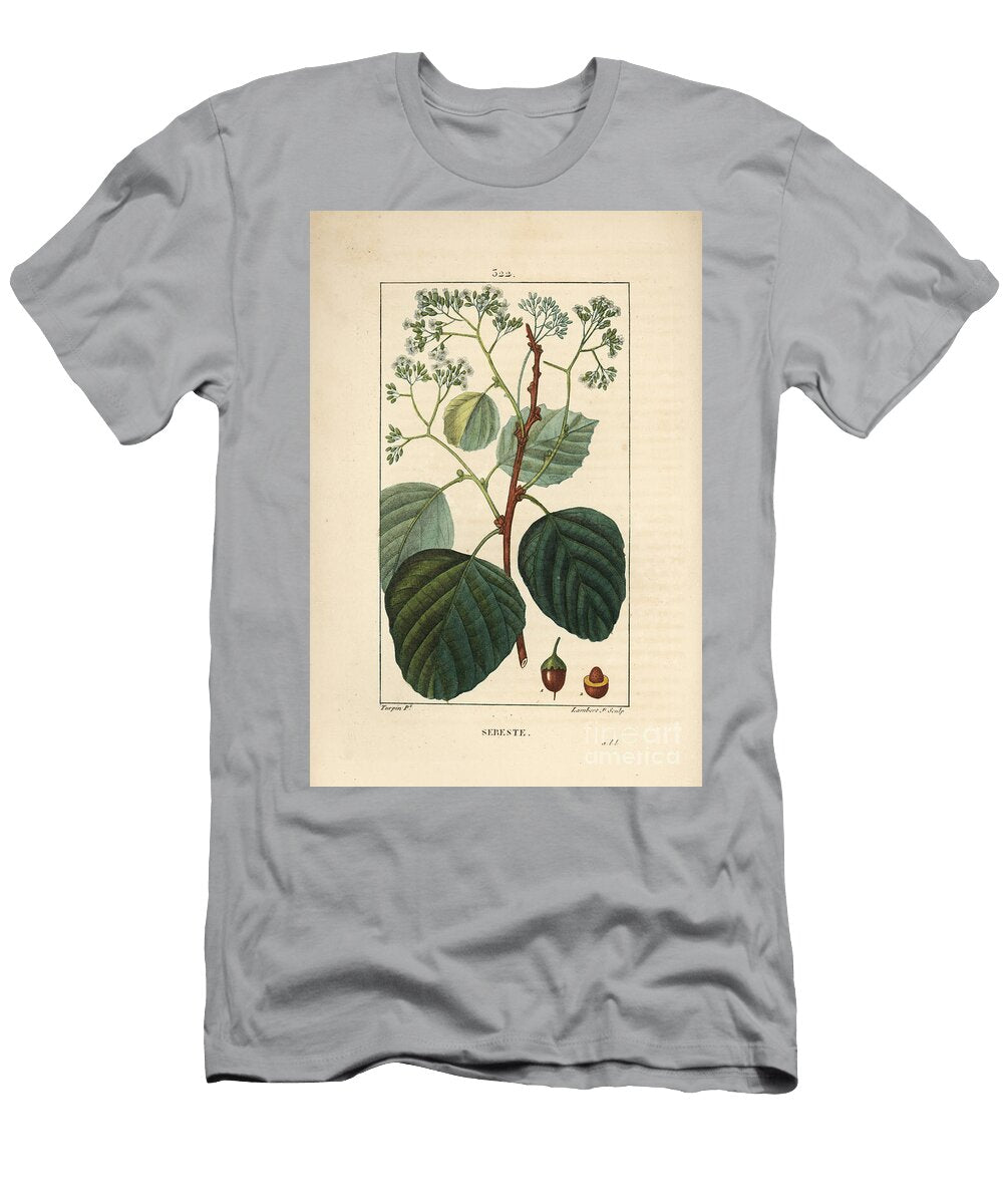 Domestic Sebestier Assyrian Plum or Lasura Cordia Myxa with Flower Leaf Stalk and Fruit Pierre Jean Francois Turpin T-Shirt