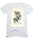 Dwarf Elder Dwarf Elder Sambucus Humilis Pierre Jean Francois Turpin T-Shirt