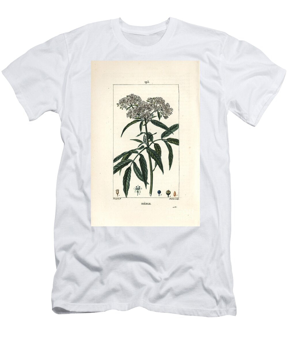 Dwarf Elder Dwarf Elder Sambucus Humilis Pierre Jean Francois Turpin T-Shirt