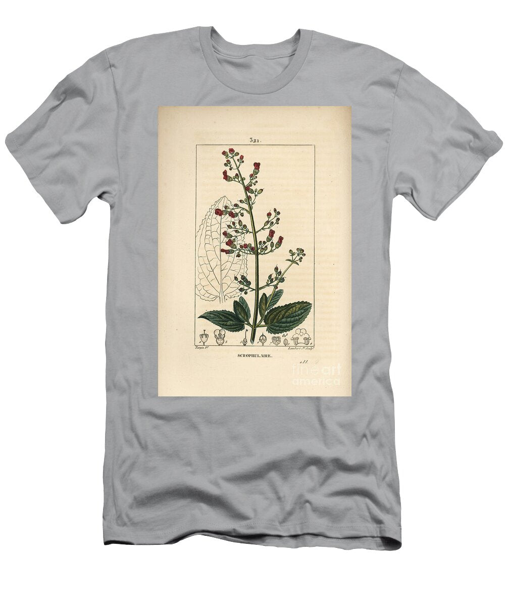 Ear Scrofulary Water Figwort Scrophularia Aquatica with Flower Leaf Stem Seed and Leaf Outline Pierre Jean Francois Turpin T-Shirt