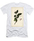 European Holly Ilex Aquifolium Linn the Younger Dupin T-Shirt