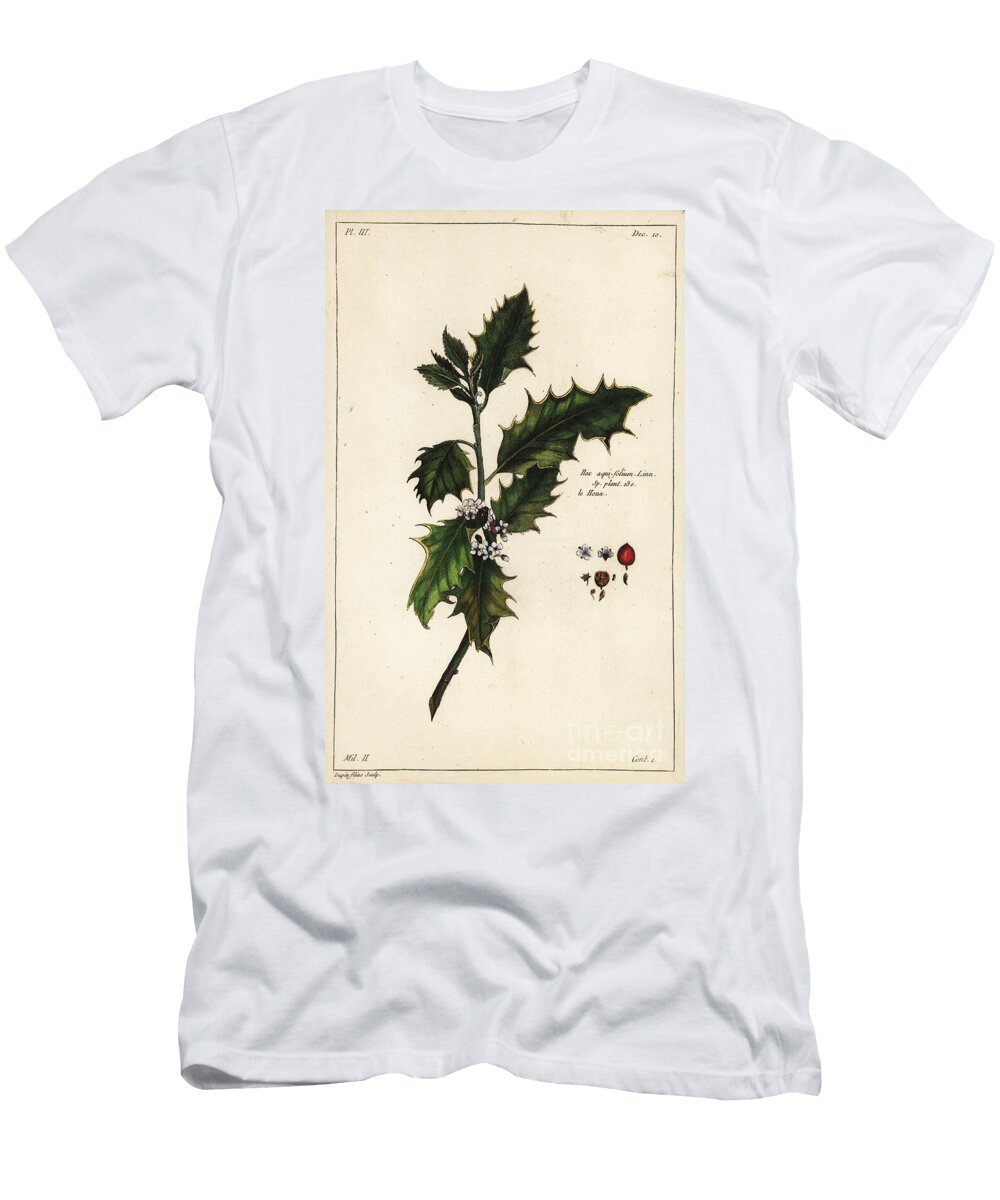 European Holly Ilex Aquifolium Linn the Younger Dupin T-Shirt