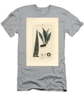 Fergere Male Male Shield Fern Dryopteris Filix Mas Pierre Jean Francois Turpin T-Shirt