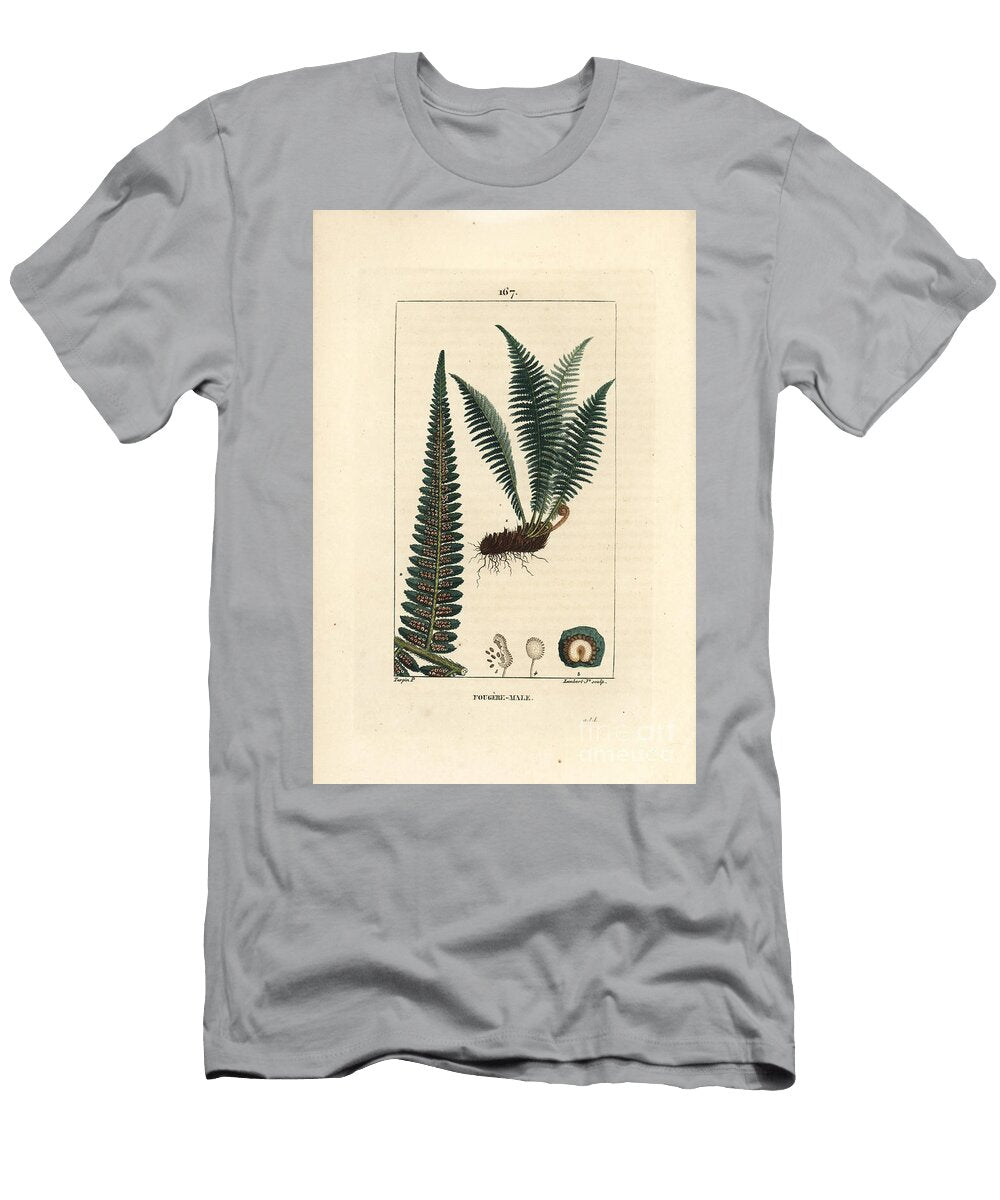 Fergere Male Male Shield Fern Dryopteris Filix Mas Pierre Jean Francois Turpin T-Shirt