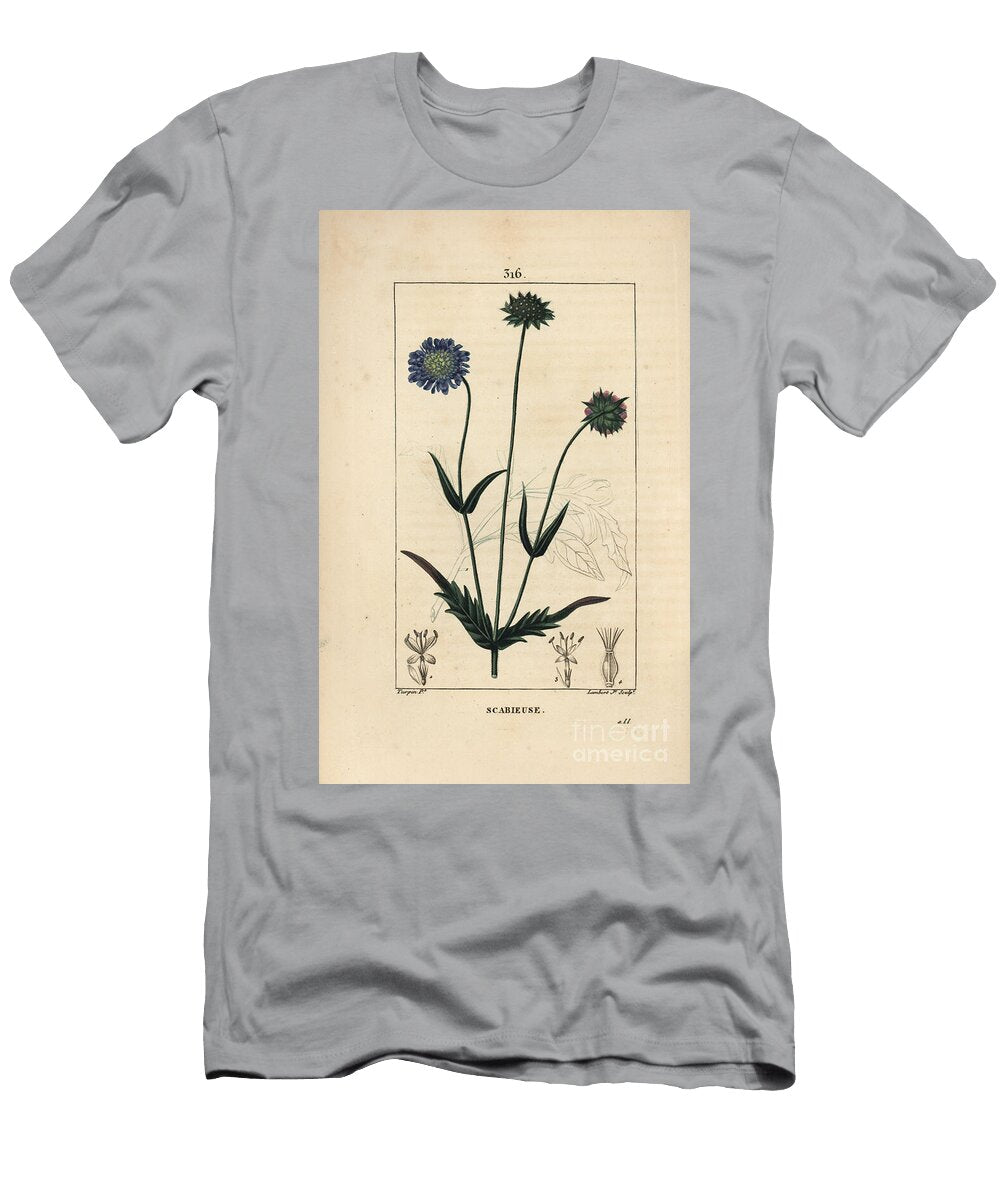Field Knautie or Field Scabieuse Field Scabious Knautia Arvensis with Flower Leaf Stalk Seed and Leaf Outline Pierre Jean Francois Turpin T-Shirt