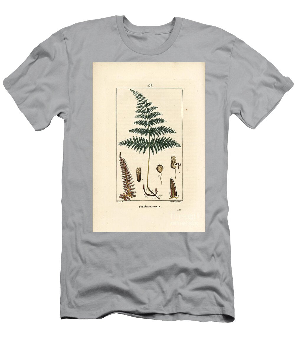 Fougere Aigle Ou Grande Fougere Female Fern or Bracken Pteridium Aquilinum Pierre Jean Francois Turpin T-Shirt