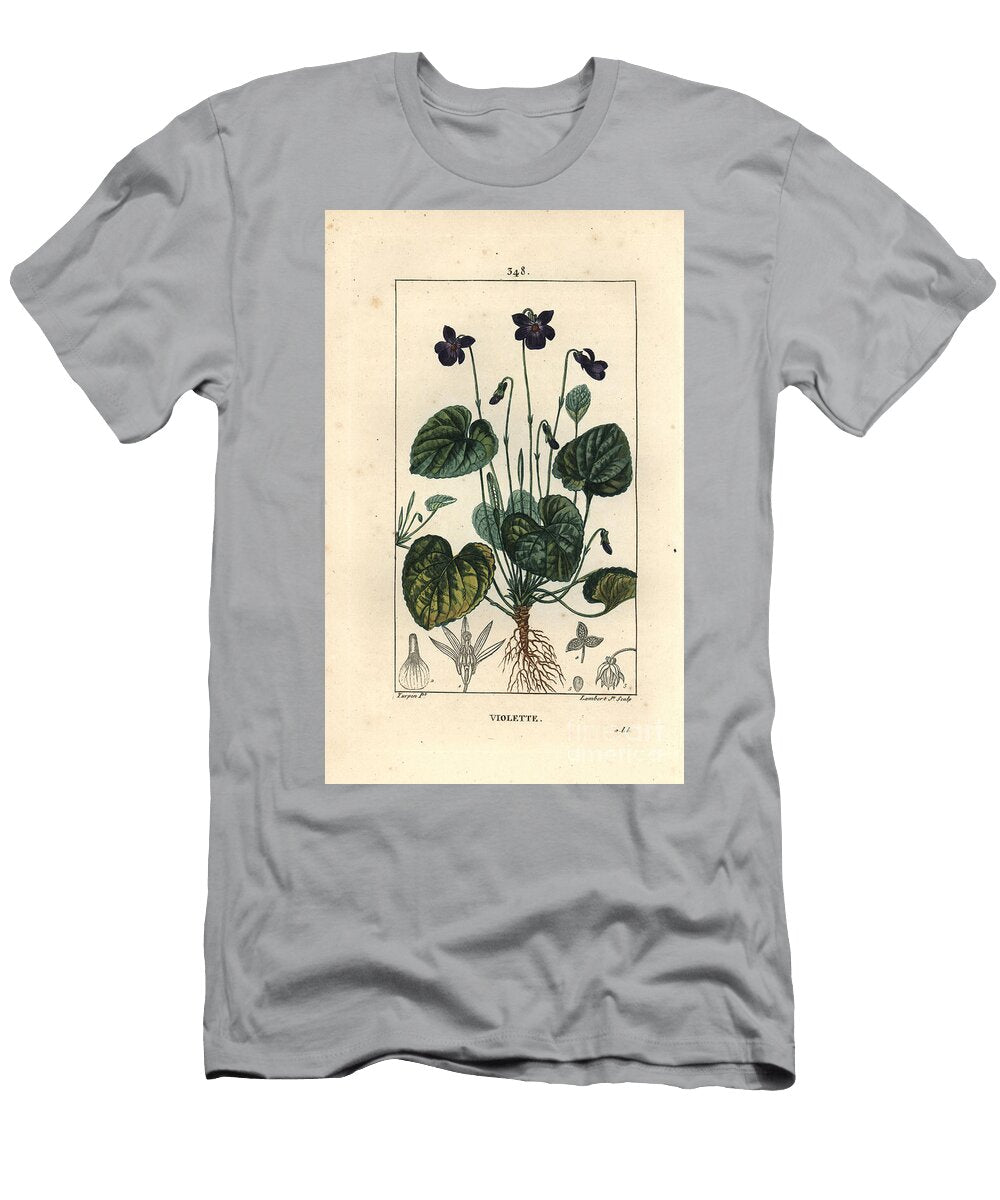 Fragrant Violet Sweet Violet Viola Odorata with Flower Leaf Stem and Roots Pierre Jean Francois Turpin T-Shirt