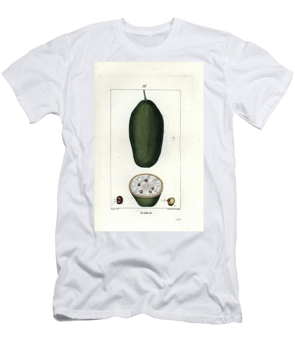 Fruit of the Baobab with Sections of the Fruit and the Seed African Baobab Tree Adansonia Digitata Showing Fruit European School T-Shirt