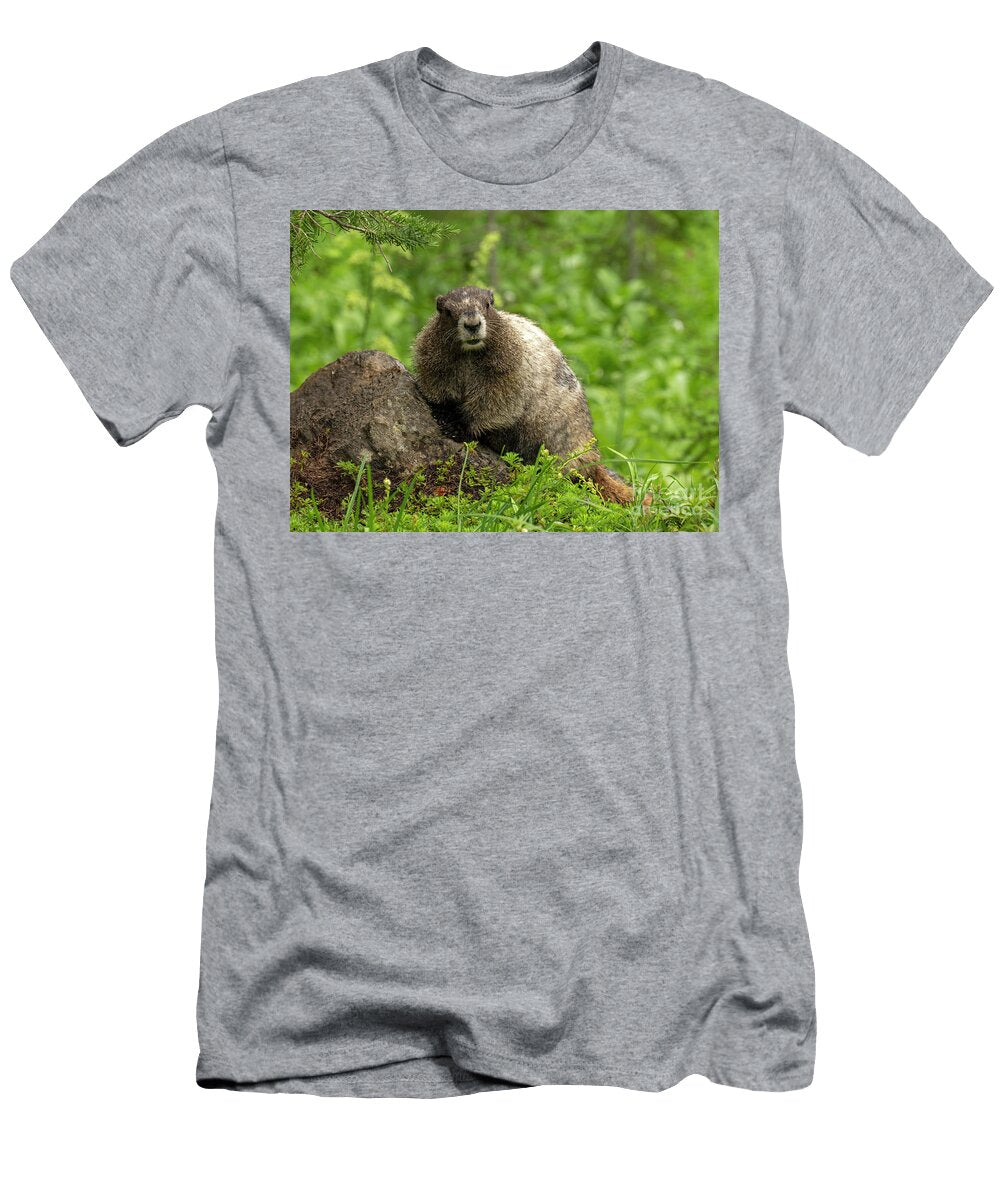 Fuzzy Guy Michael Dawson T-Shirt