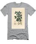 Gaiac or Holy Wood Wood of Life Guaiacum Guajacum Officinale Pierre Jean Francois Turpin T-Shirt