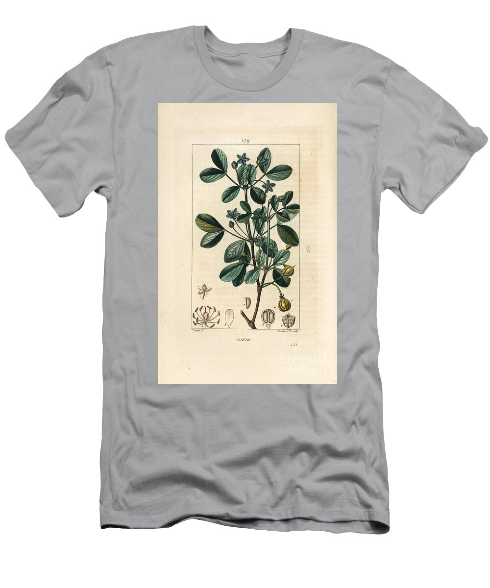 Gaiac or Holy Wood Wood of Life Guaiacum Guajacum Officinale Pierre Jean Francois Turpin T-Shirt