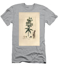 Garance Des Dyers Madder Rubia Tinctorum with Root Flower Leaf and Seed Pierre Jean Francois Turpin T-Shirt