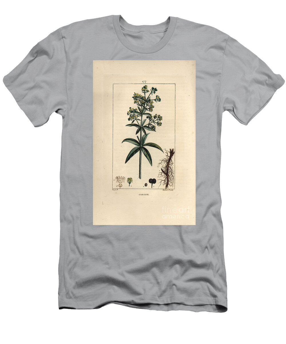 Garance Des Dyers Madder Rubia Tinctorum with Root Flower Leaf and Seed Pierre Jean Francois Turpin T-Shirt