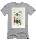 Garden Angelica or Wild Celery Angelica Archangelica Showing Flowers Leaves Root and Seed European School T-Shirt