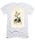 Garden Rhubarb Rhubarb Rheum Rhabarbarum Rheum Palmatum with Flower Stalk Leaf Seed and Root Pierre Jean Francois Turpin T-Shirt