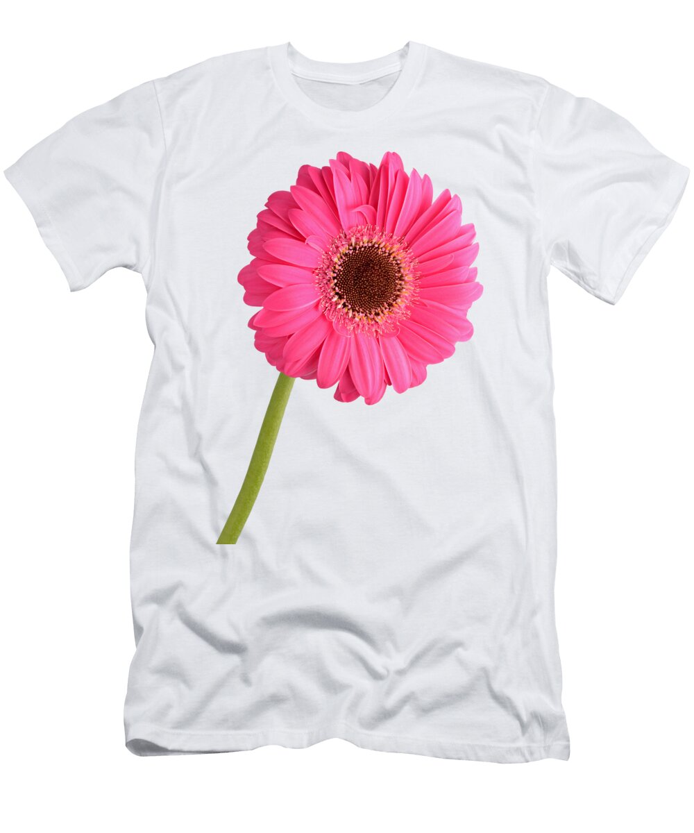 Gerbera George Atsametakis T-Shirt