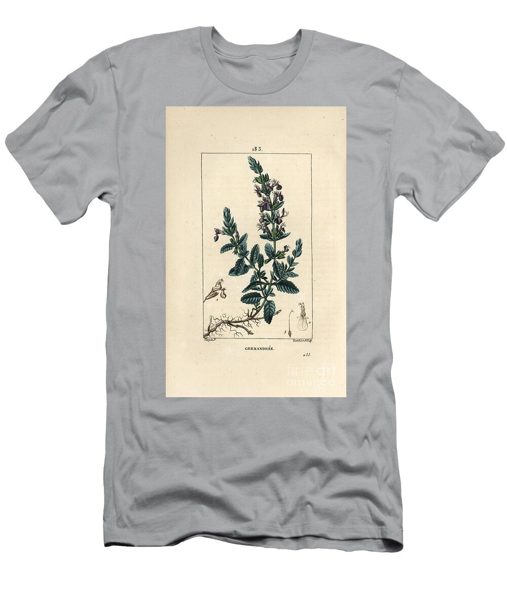 Germandree Petit Oak Germander Teucrium Chamaedrys Pierre Jean Francois Turpin T-Shirt