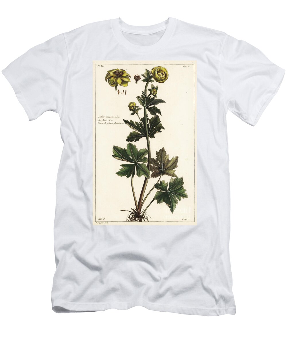 Globeflower Trollius Europaeus Linn the Younger Dupin T-Shirt