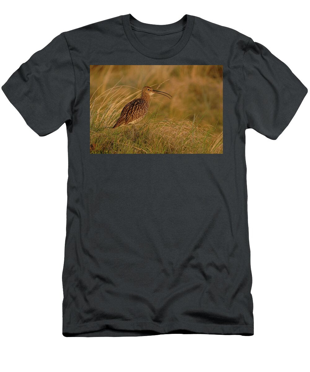 Golden Evening Light Eurasian Curlew Wonderfulearth T-Shirt