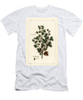 Gooseberry Ribes Grossularia the Younger Dupin T-Shirt