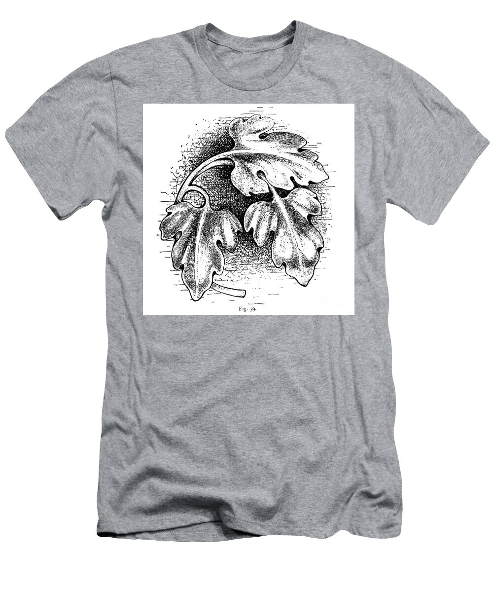 Grape Vine Leaf and Leafs R3 Historic Illustrations T-Shirt