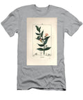Gratiole Officinale or Grace De Dieu Grace Au Poor Man Petite Digitale Hedge Hyssops Gratiola Officinalis Pierre Jean Francois Turpin T-Shirt
