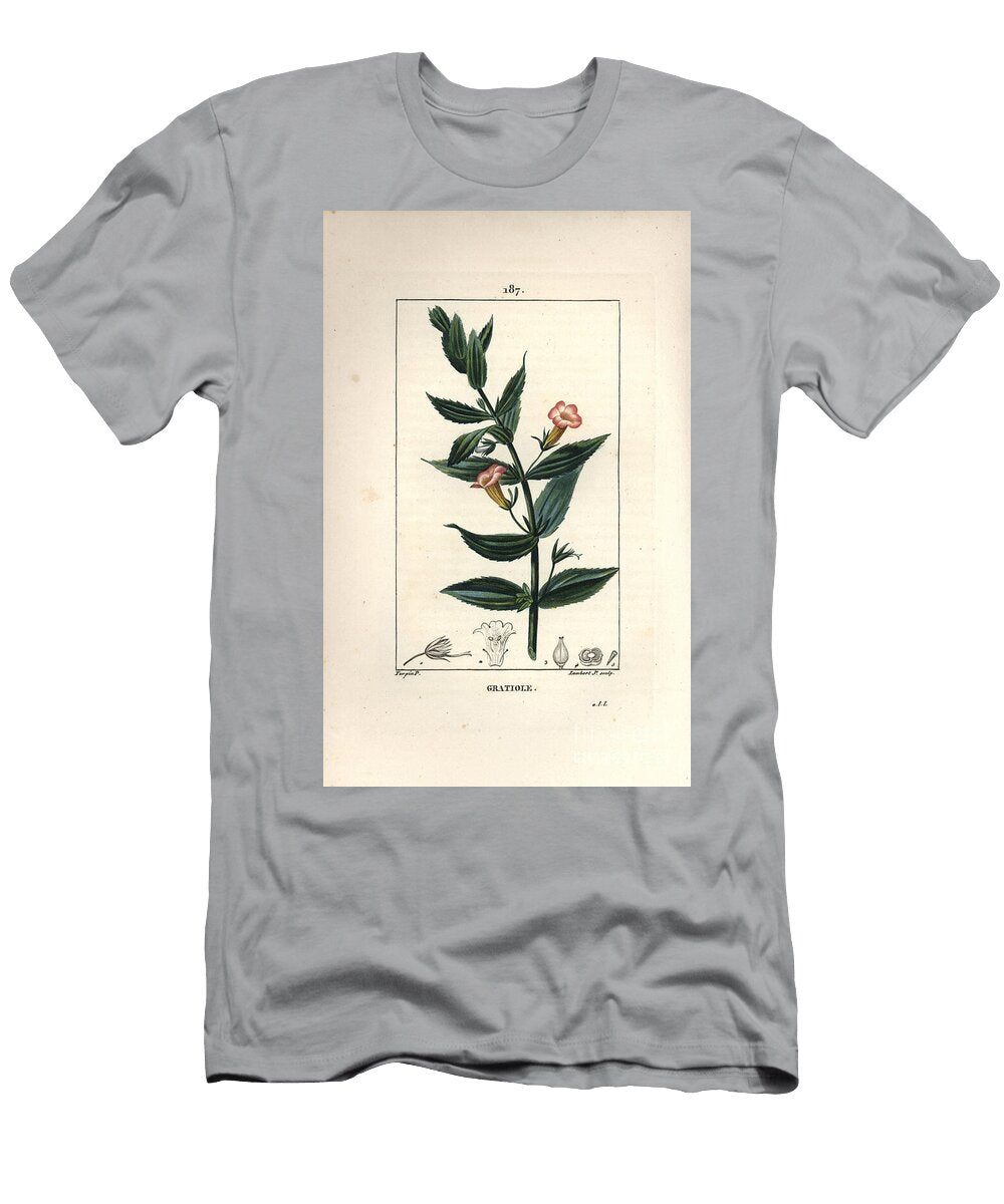 Gratiole Officinale or Grace De Dieu Grace Au Poor Man Petite Digitale Hedge Hyssops Gratiola Officinalis Pierre Jean Francois Turpin T-Shirt