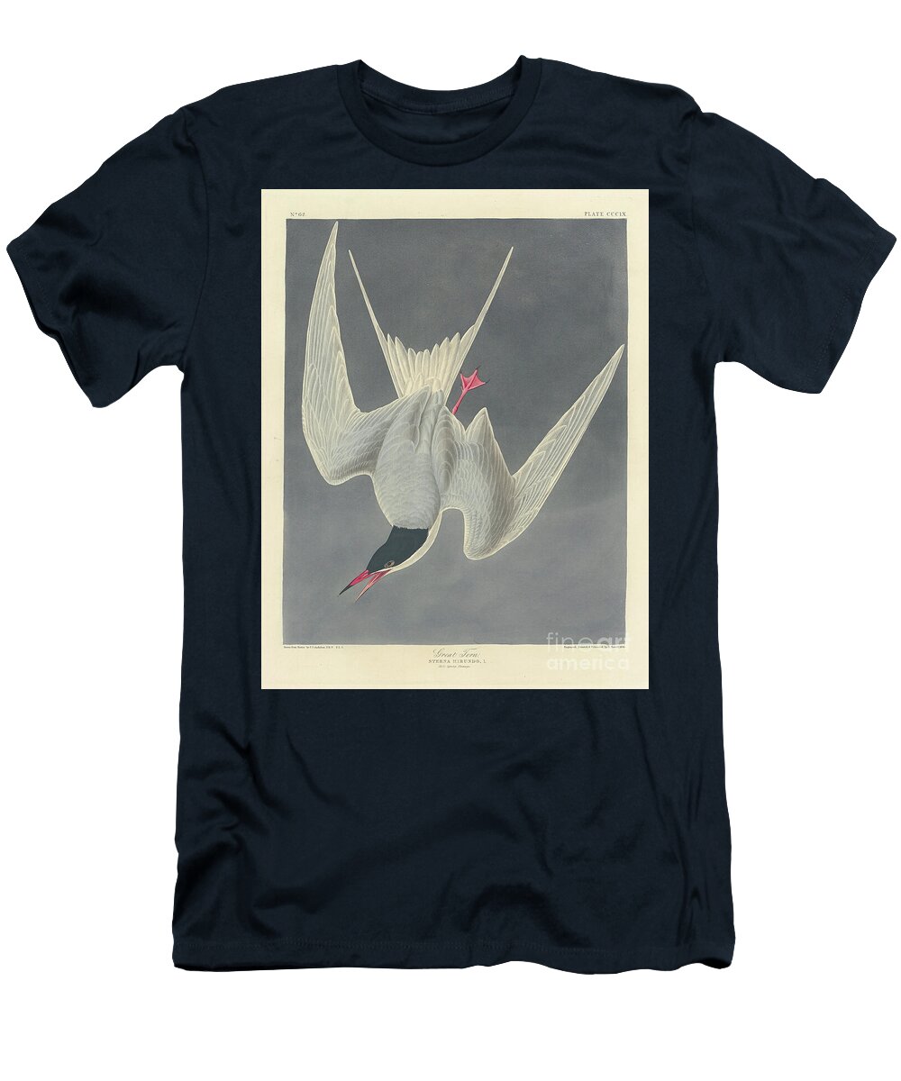 Great Tern 1836 Coloured Engraving John James Audubon T-Shirt