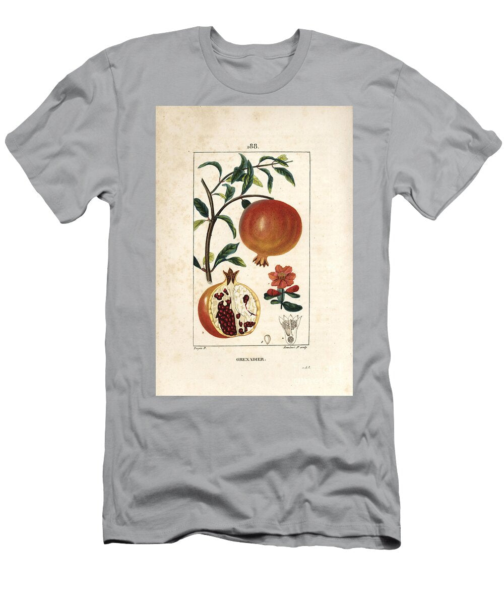 Grenadier Pomegranate Tree Punica Granatum with Leaf Flower Fruit and Section Through Fruit Showing Seeds Pierre Jean Francois Turpin T-Shirt
