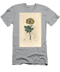 Gummy Ferule or Galbanum Galbanum Ferula Gummosa Showing Flowers Leaves and Seeds Pierre Jean Francois Turpin T-Shirt