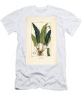 Hart S Tongue Fern Asplenium Scolopendrium with Leaf Seed and Root Pierre Jean Francois Turpin T-Shirt
