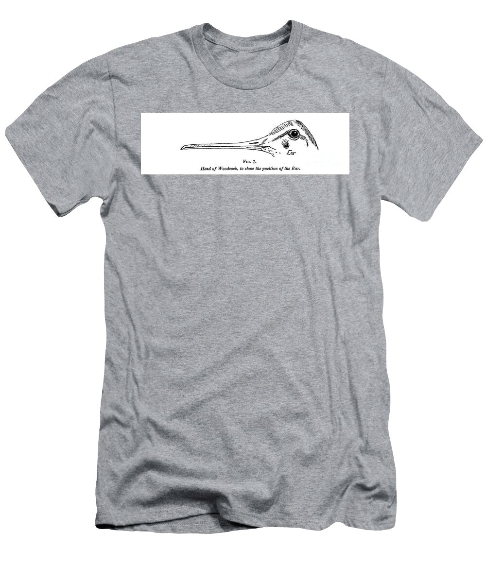 Head of a Woodcock to Show the Position of the Ears L4 Historic Illustrations T-Shirt