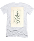 Herniary Glabrous or Turquette Rupture Wort Herniaria Glabra Pierre Jean Francois Turpin T-Shirt