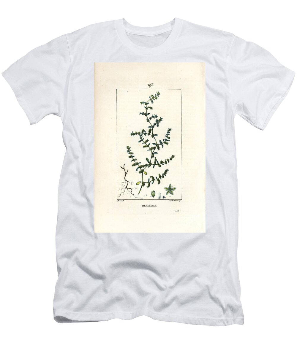 Herniary Glabrous or Turquette Rupture Wort Herniaria Glabra Pierre Jean Francois Turpin T-Shirt