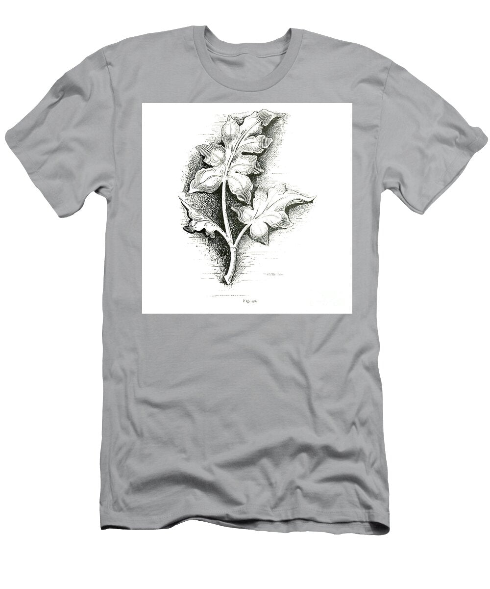 Highly Finished Studies of Foliage R5 Historic Illustrations T-Shirt