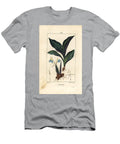 Himalayan Crocus Zedoary Koempferia Rotunda with Flower Leaf Stem and Root Rhizome Pierre Jean Francois Turpin T-Shirt