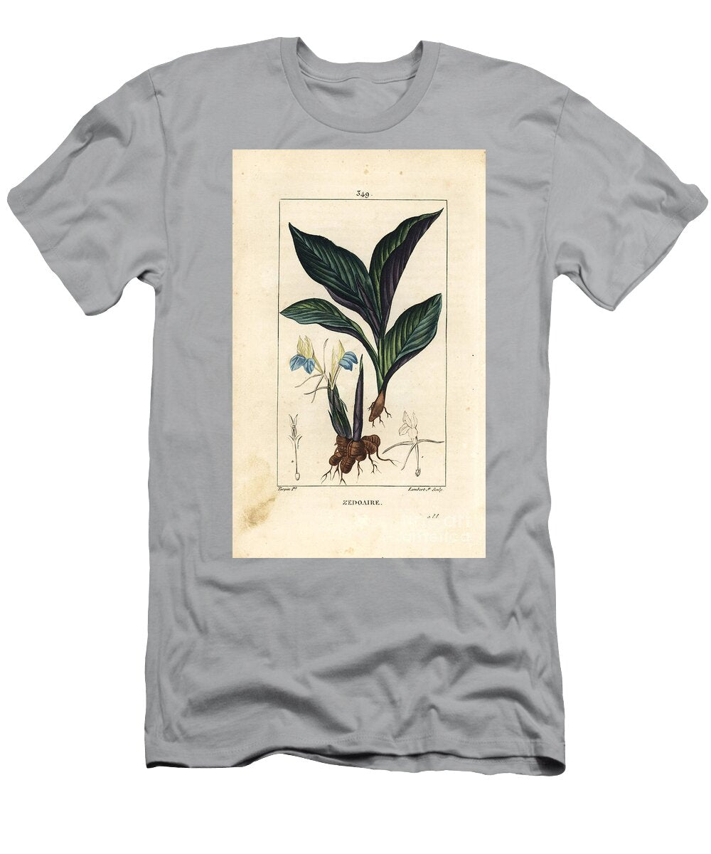 Himalayan Crocus Zedoary Koempferia Rotunda with Flower Leaf Stem and Root Rhizome Pierre Jean Francois Turpin T-Shirt