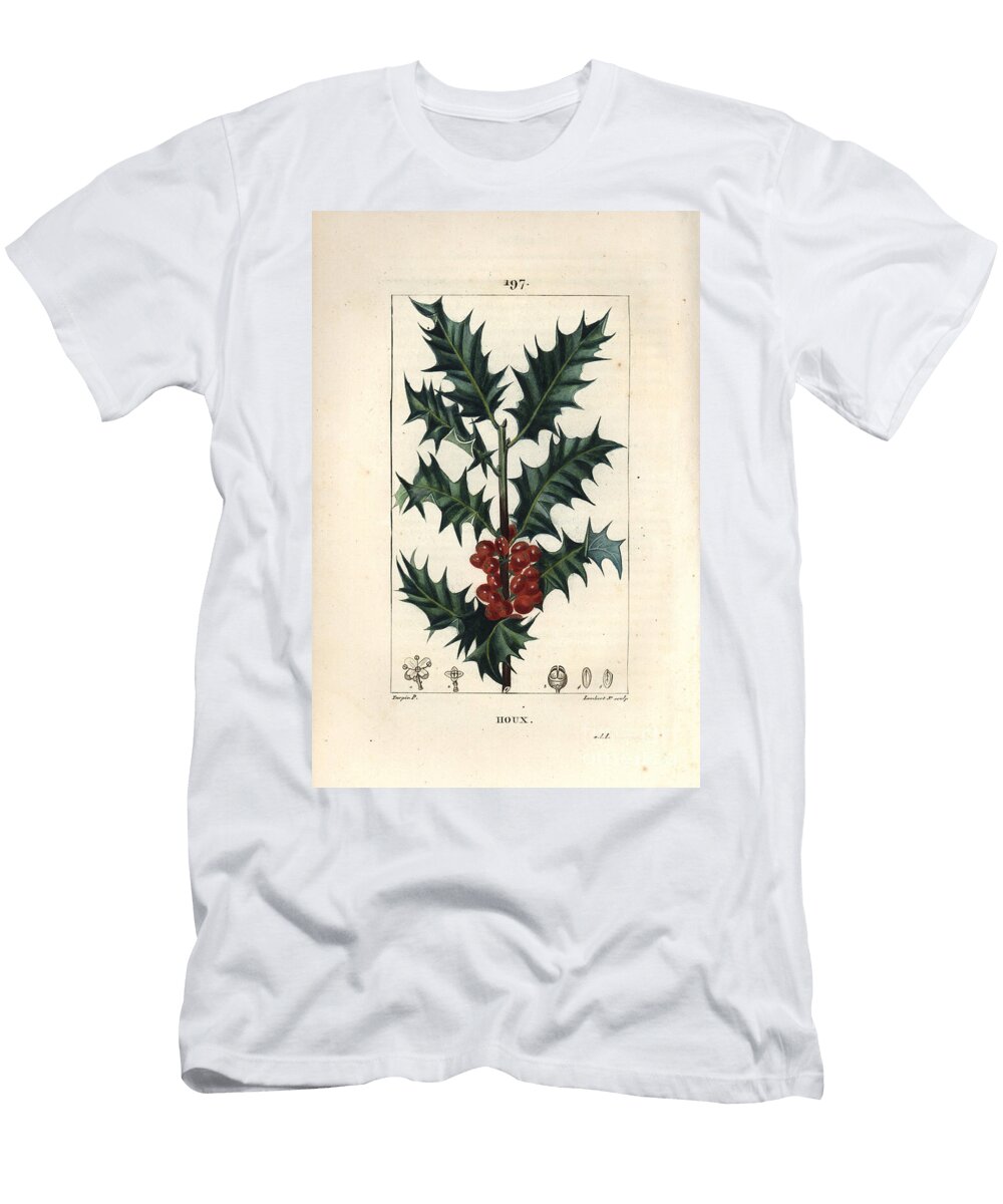 Holly Holly Ilex Aqualifolium with Prickly Leaves and Red Berries Pierre Jean Francois Turpin T-Shirt