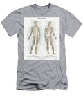 Human Musculature System Unknown T-Shirt