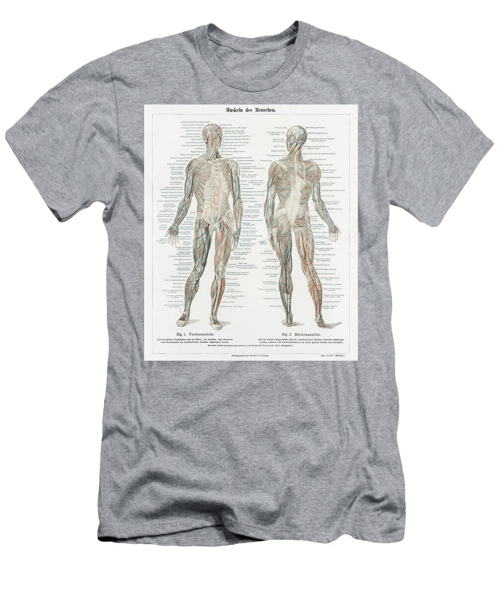 Human Musculature System Unknown T-Shirt