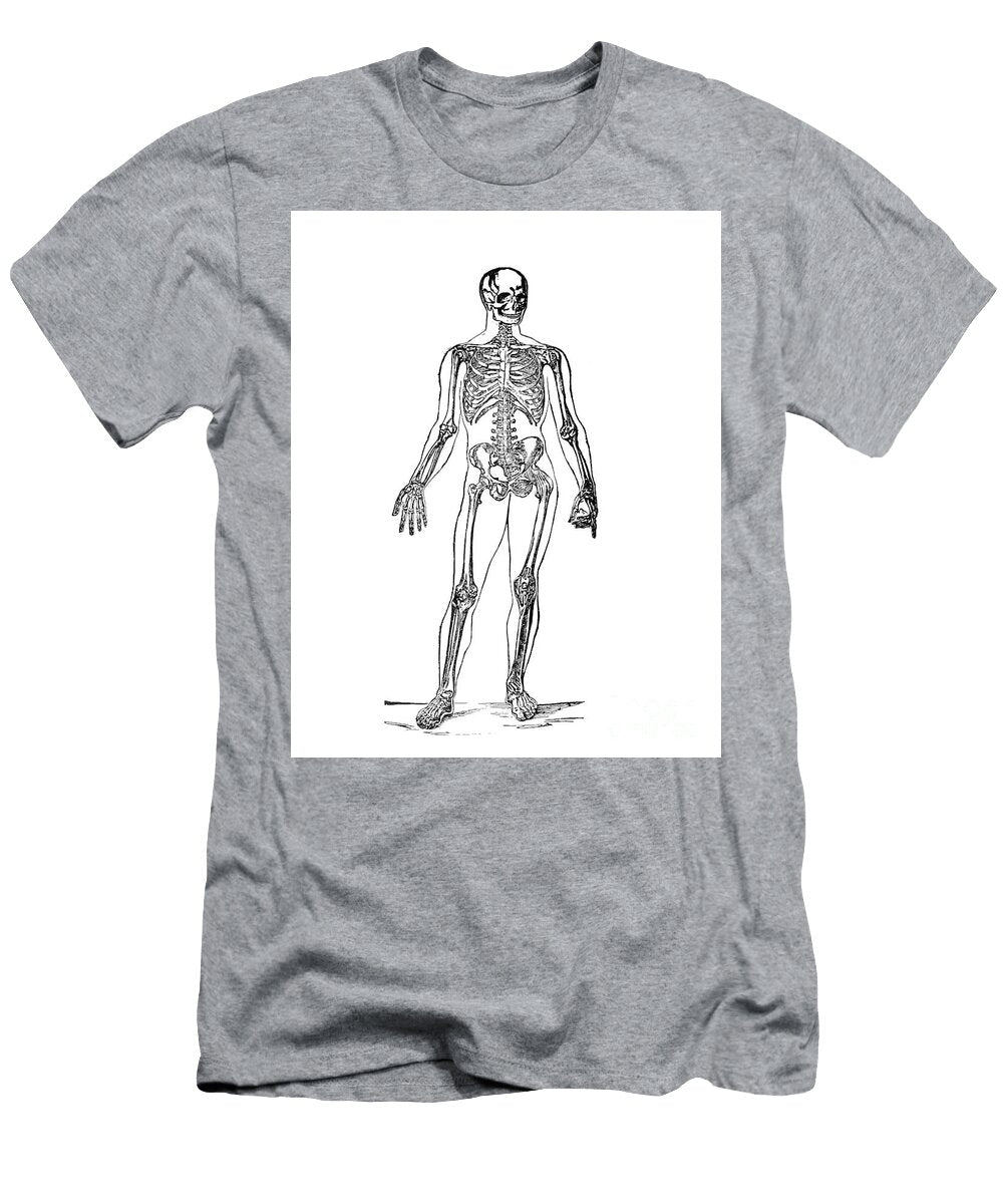 Human Skeleton Illustration Vintage Pete Klinger T-Shirt