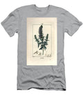 Hyssop Officinale or Hysssop Hyssop Hyssopus Officinalis Pierre Jean Francois Turpin T-Shirt