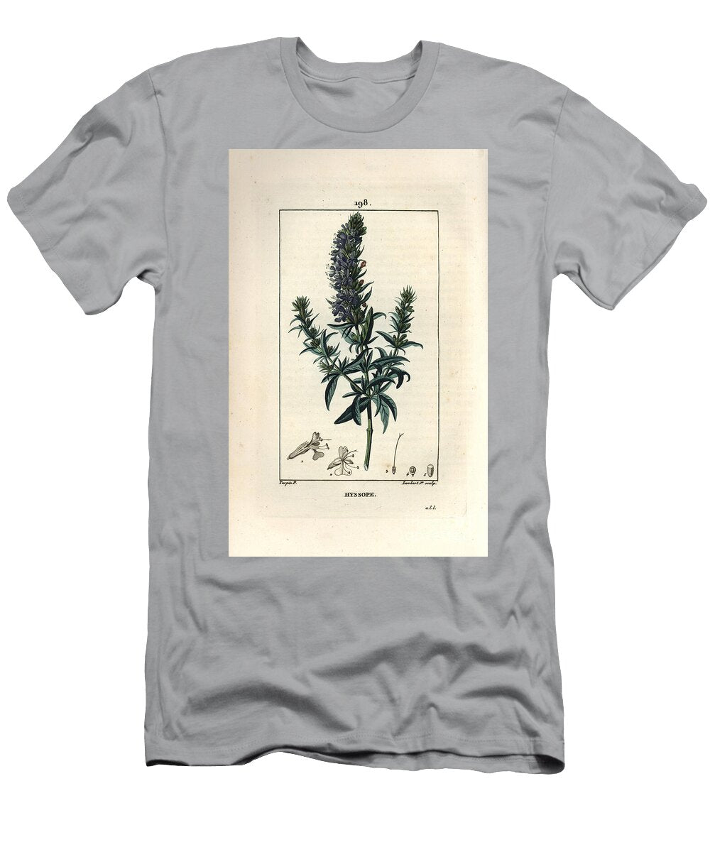 Hyssop Officinale or Hysssop Hyssop Hyssopus Officinalis Pierre Jean Francois Turpin T-Shirt