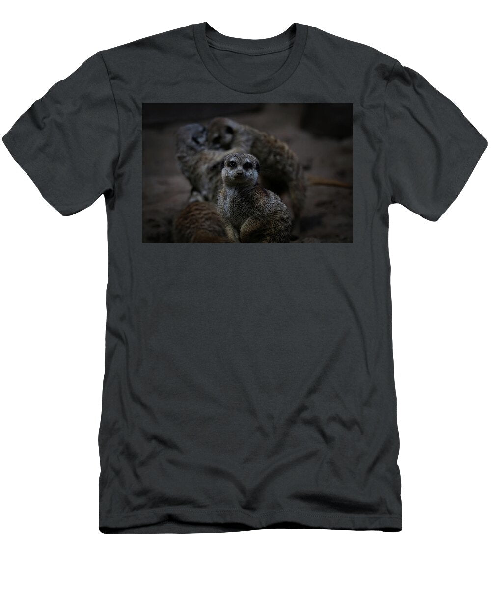 I Am Innocent I Tell Ya Ernie Echols T-Shirt