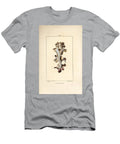 Iceland Lichen or Iceland Moss Iceland Lichen Lichen Islandicus Pierre Jean Francois Turpin T-Shirt