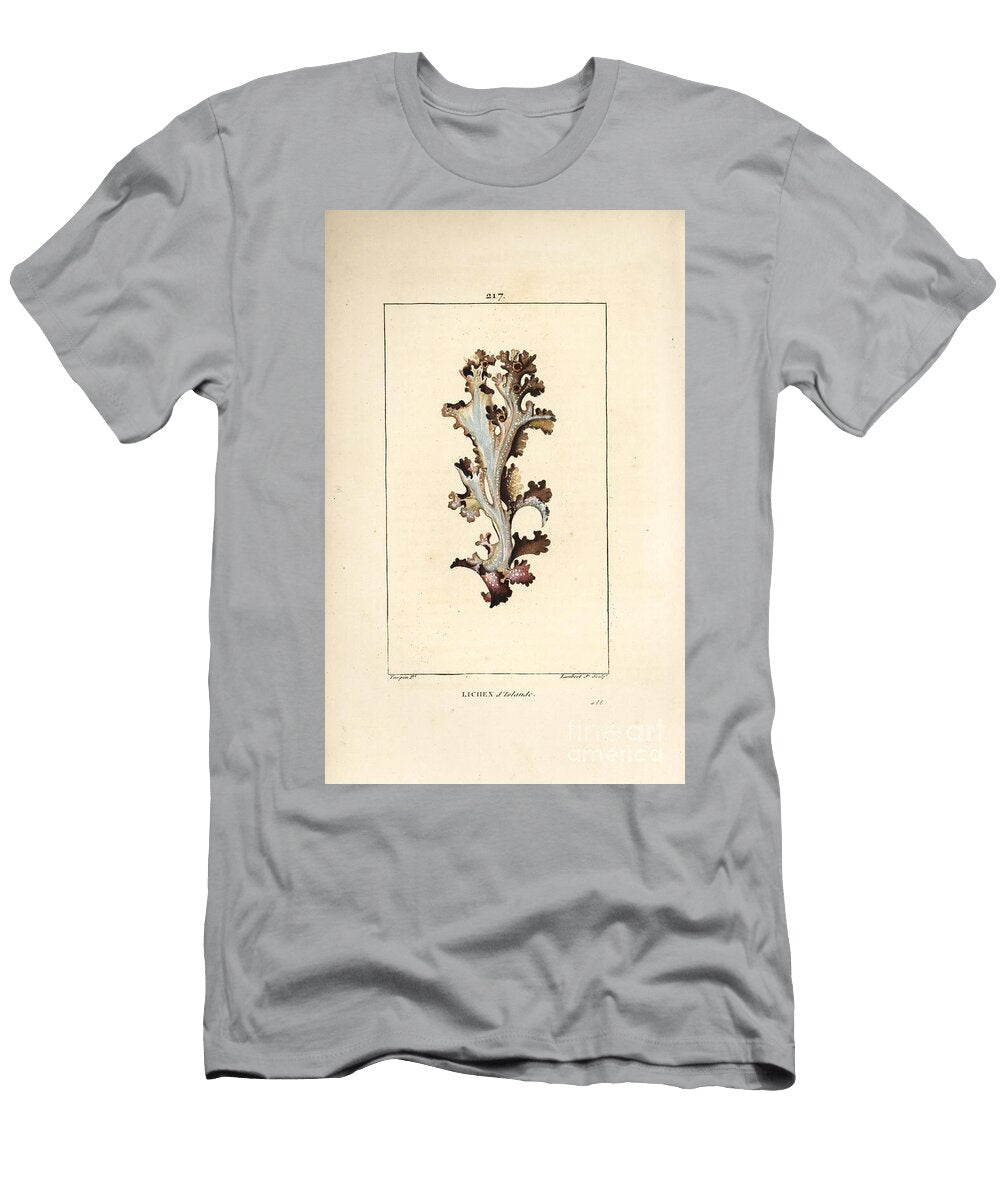 Iceland Lichen or Iceland Moss Iceland Lichen Lichen Islandicus Pierre Jean Francois Turpin T-Shirt