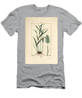 Indian Nard Indicates Spicanard Spikenard Andropogon Nardus with Leaf Root and Flower Pierre Jean Francois Turpin T-Shirt