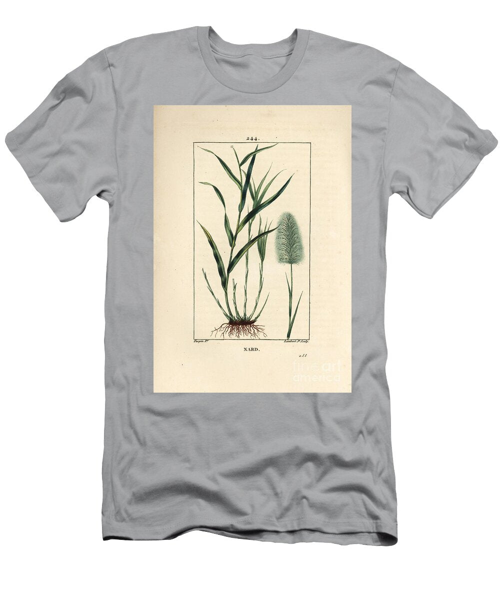 Indian Nard Indicates Spicanard Spikenard Andropogon Nardus with Leaf Root and Flower Pierre Jean Francois Turpin T-Shirt