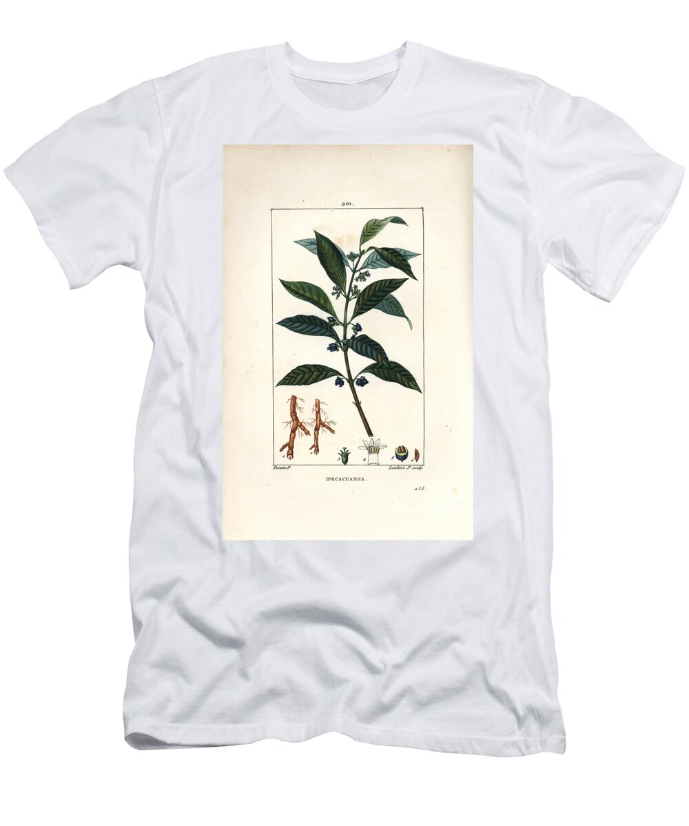 Ipeca or Ipecacuana Ipecacuanha Psychotria Emetica with Leaf Flower and Root Pierre Jean Francois Turpin T-Shirt
