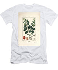 Jujubier Tincture Mother Jujube Tree Rhamnus Zizyphus with Flower Leaf and Fruit in Section Pierre Jean Francois Turpin T-Shirt